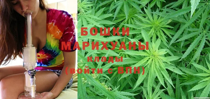 Шишки марихуана семена  как найти   blacksprut зеркало  Вихоревка 